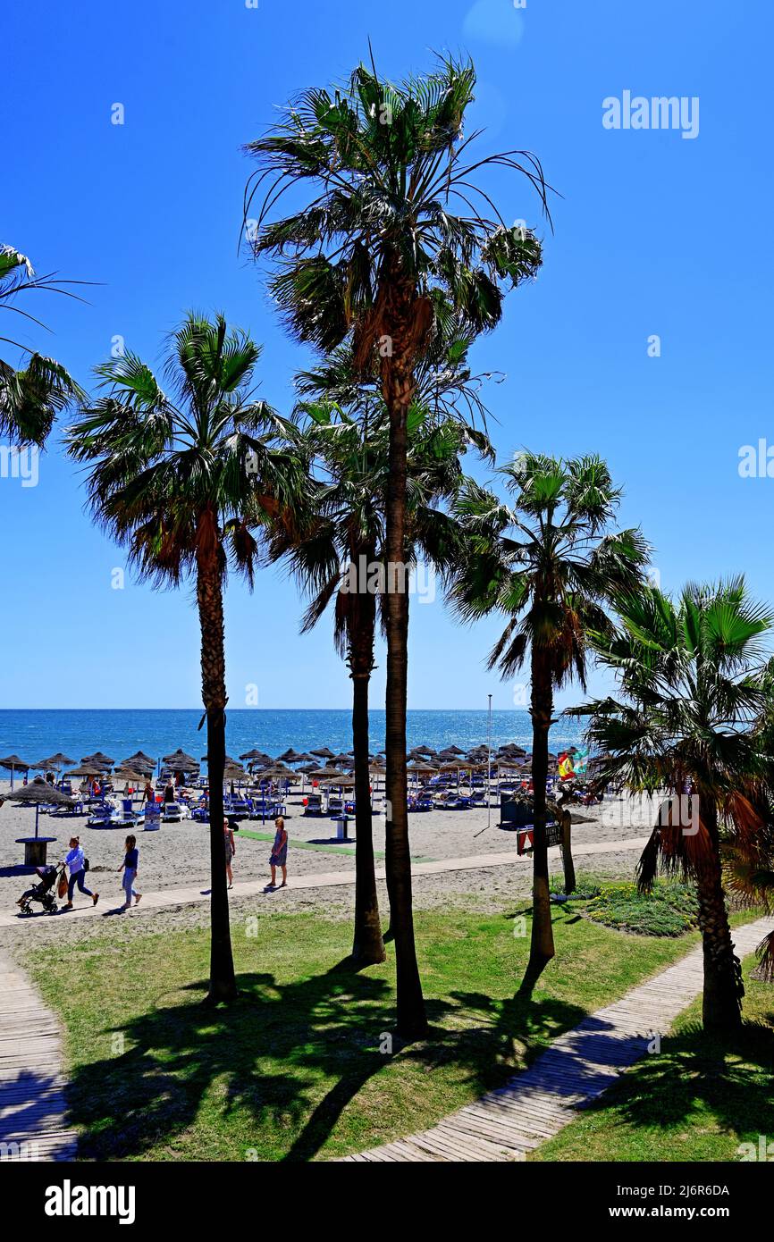 Espagne Andalousie Malaga Promenade Benalmadena et palmiers au ciel bleu profond Banque D'Images