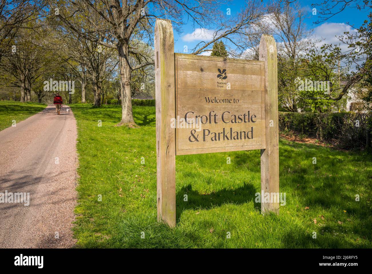 L'allée principale à une voie menant au château de Croft et au parc, une propriété de confiance nationale, Herefordshire, Angleterre. Banque D'Images