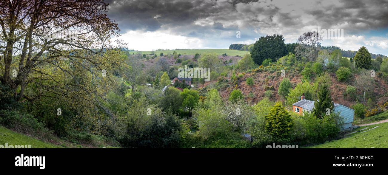 Bircher Common est une zone de la santé des basses terres appartenant à la National Trust près du village de Bircher, Herefordshire, Angleterre. Banque D'Images