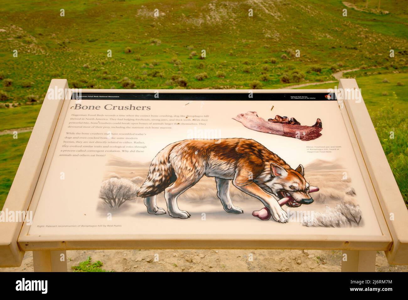 Panneau d'interprétation, monument national Hagerman Fossil Beds, Idaho Banque D'Images