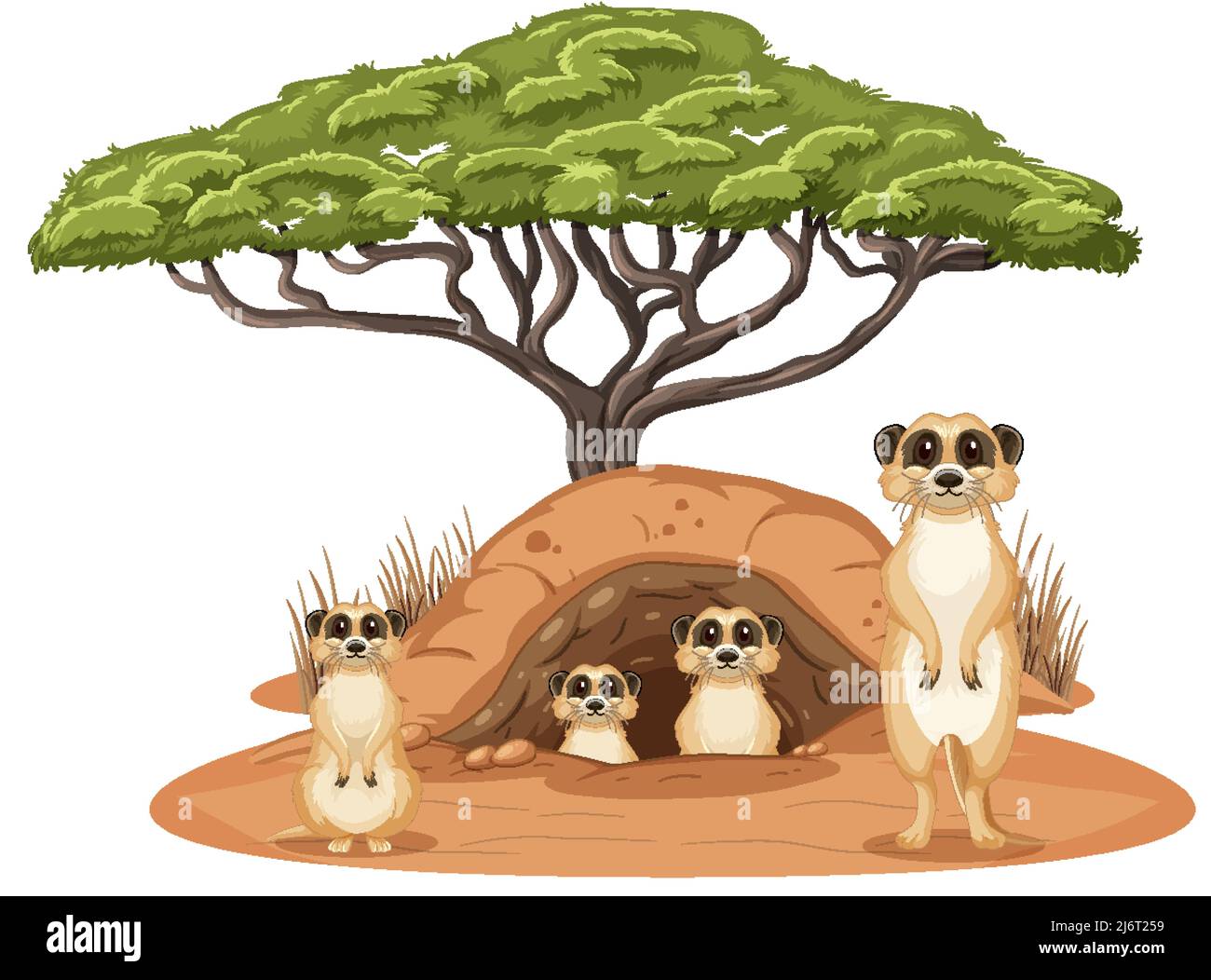 Groupe de meerkats avec burrow sur fond blanc illustration Illustration de Vecteur