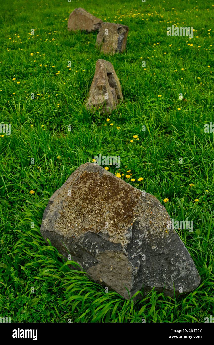 rangée de quatre grands rochers sur prairie verte Banque D'Images