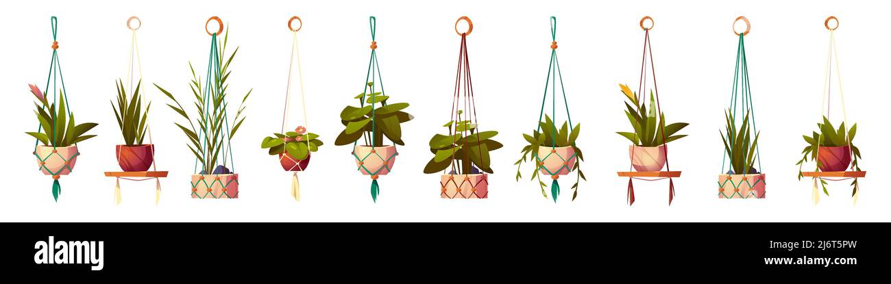 Maison des plantes dans des pots suspendus, ensemble isolé de fleurs dans des cintres de macrame. Jardinières vertes en supports faits main en corde pour la décoration intérieure sur fond blanc, illustration vectorielle de dessin animé Illustration de Vecteur