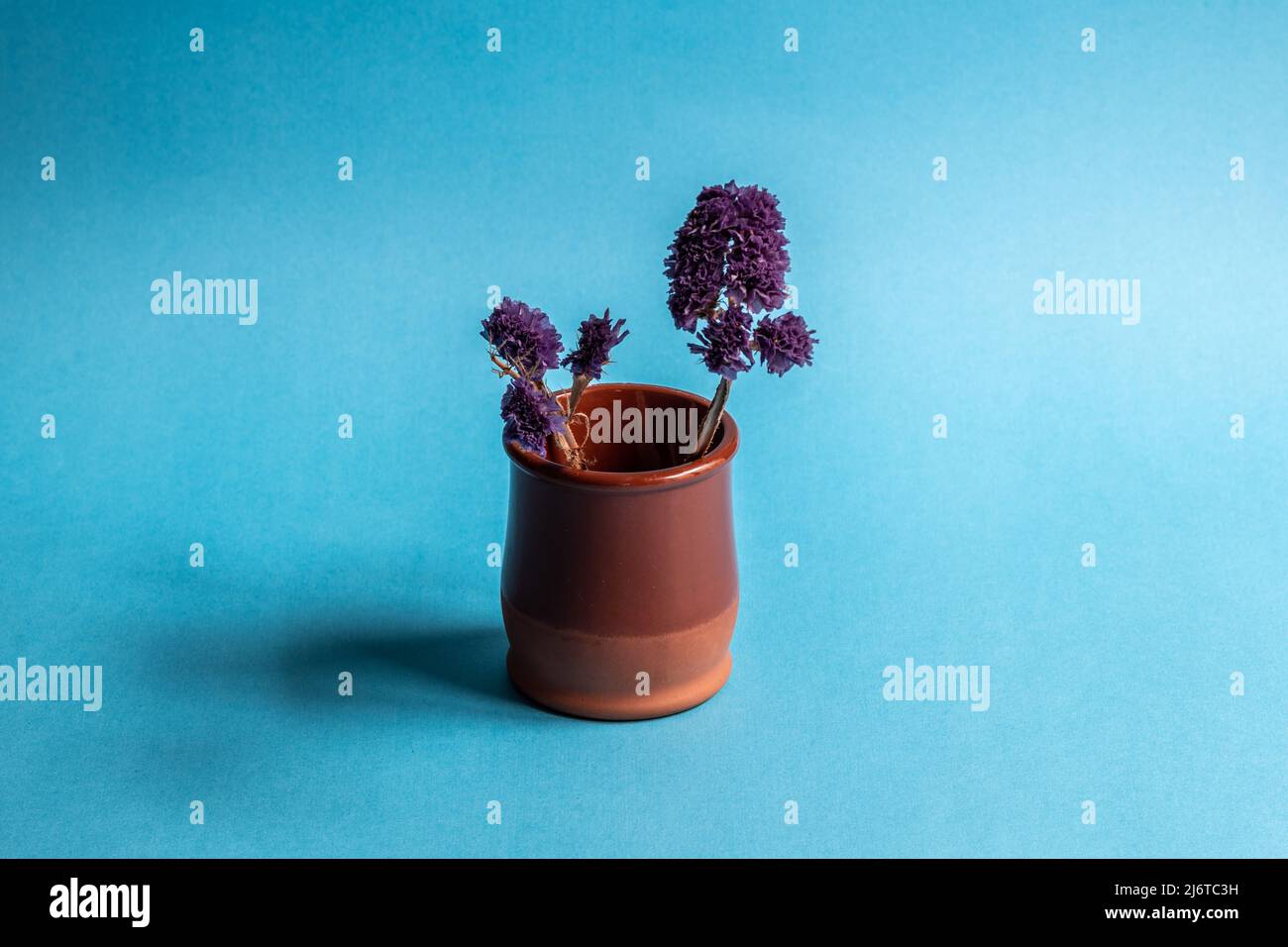 Vase antique en faïence émaillée avec fleur de champ sur fond bleu Banque D'Images