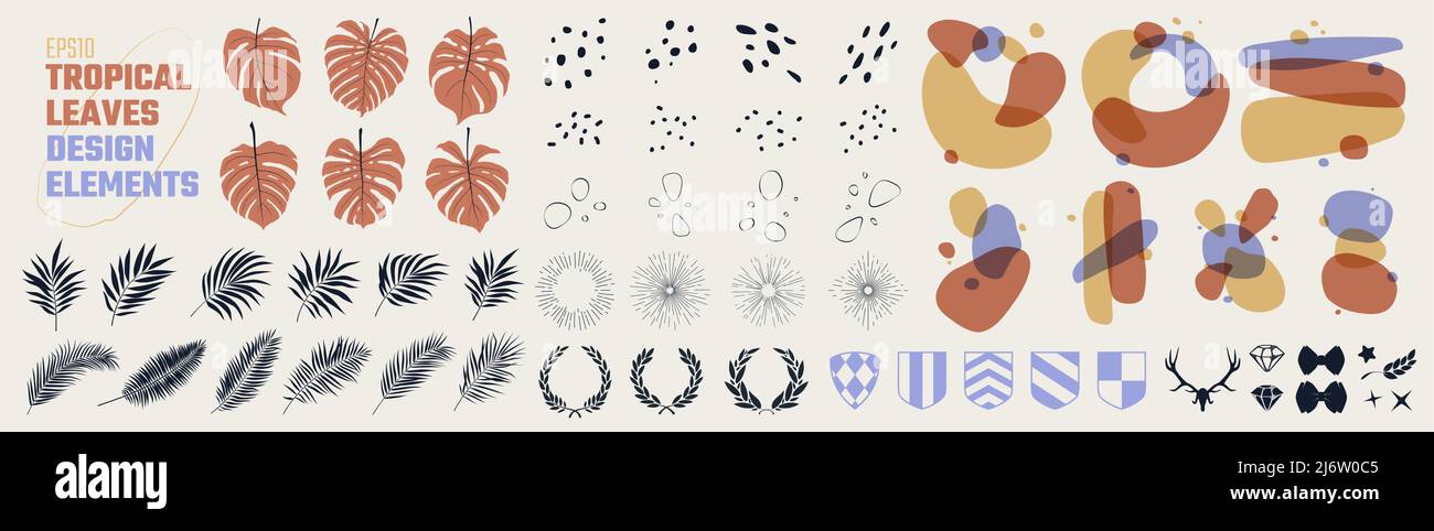 Grand ensemble de compositions, taches colorées, feuilles tropicales et divers éléments de conception, collection de vecteurs de détails isolés, pour collages d'affiches an Illustration de Vecteur