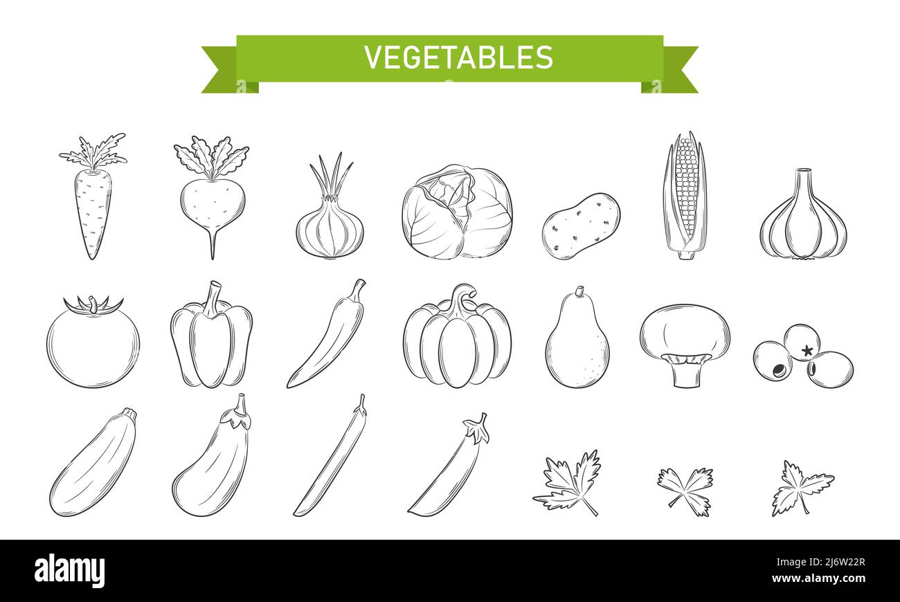 Un ensemble d'icônes linéaires pour les légumes, les champignons et les olives dans le style Doodle. . Les éléments de conception sont dessinés à la main et isolés sur un fond blanc. Noir an Illustration de Vecteur