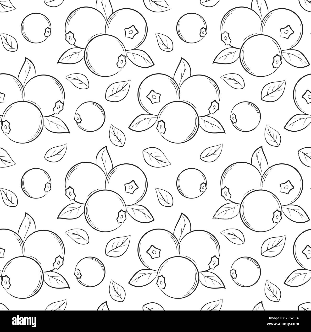 Motif sans couture avec bleuets et feuilles. Les éléments linéaires simples dessinés à la main en noir et blanc sont isolés sur un fond transparent. Pour les desi Illustration de Vecteur