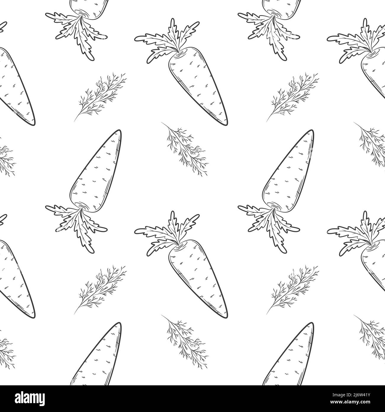 Motif sans couture avec carotte et aneth. Motif noir et blanc avec légumes. Les éléments du style linéaire sont isolés sans arrière-plan. Pour TH Illustration de Vecteur