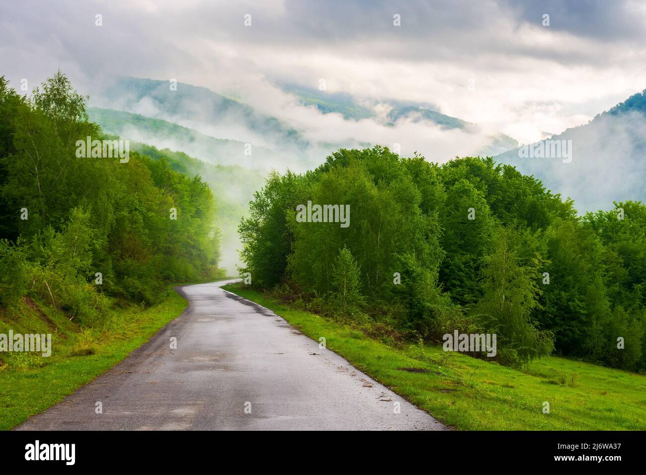 un temps brumeux spectaculaire au printemps. paysage de campagne carpatique dans les montagnes. route asphaltée traversant la forêt Banque D'Images