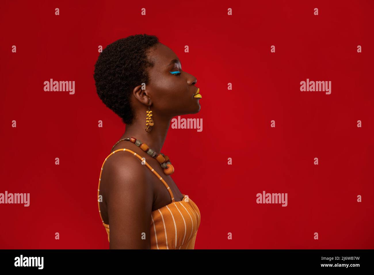 Portrait de profil de l'élégante femme afro-américaine sur le rouge, panorama Banque D'Images