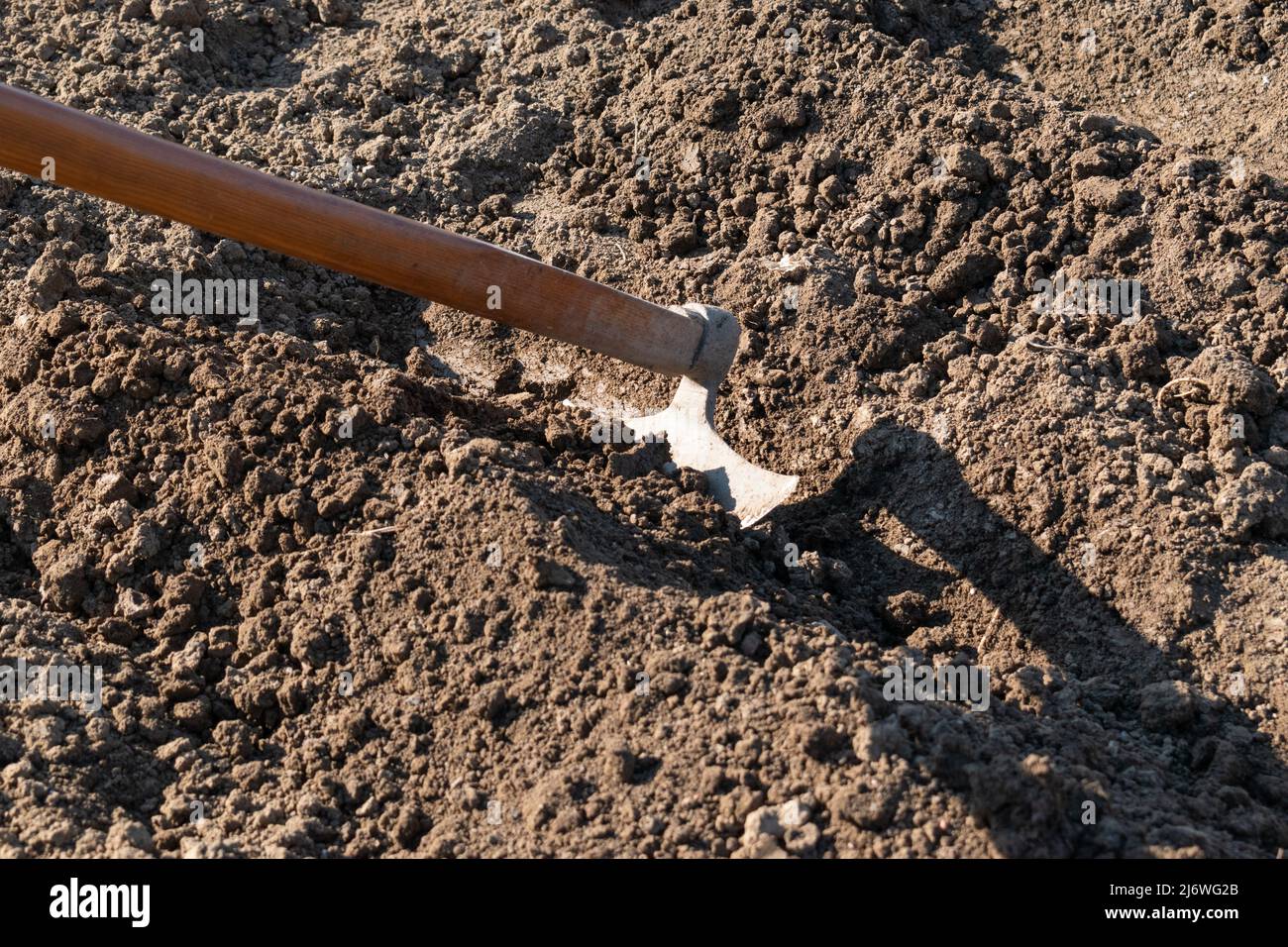 Creuser le sol avec la houe dans le jardin de printemps, creuser des  tranchées pour l'ensemencement, outil de jardinage Photo Stock - Alamy