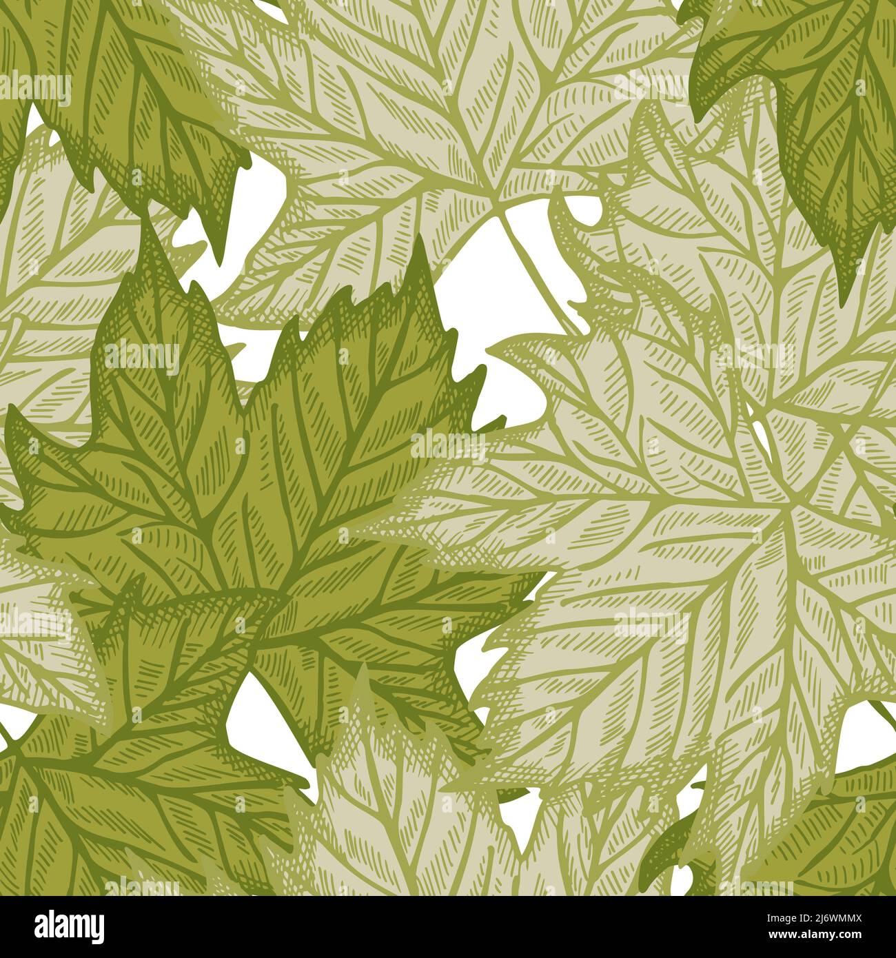 Feuilles d'érable gravé sans couture. Fond vert botanique d'été avec feuillage canadien de style dessiné à la main. Texture de conception répétée vectorielle pour Illustration de Vecteur