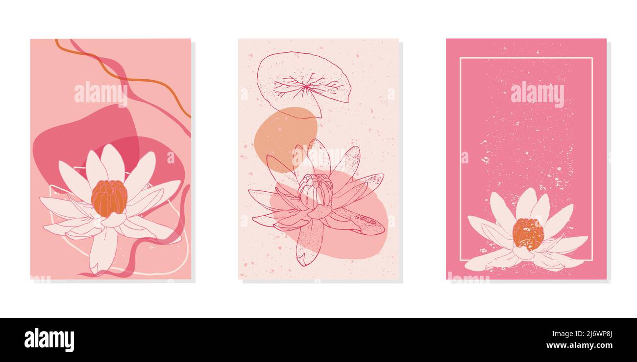 Ensemble de modèles avec fleur de nénuphars pour les invitations, les annonces ou les annonces. Carte de mariage à motif fleuri rose pour réseaux sociaux. Arrière-plan vectoriel. Illustration de Vecteur