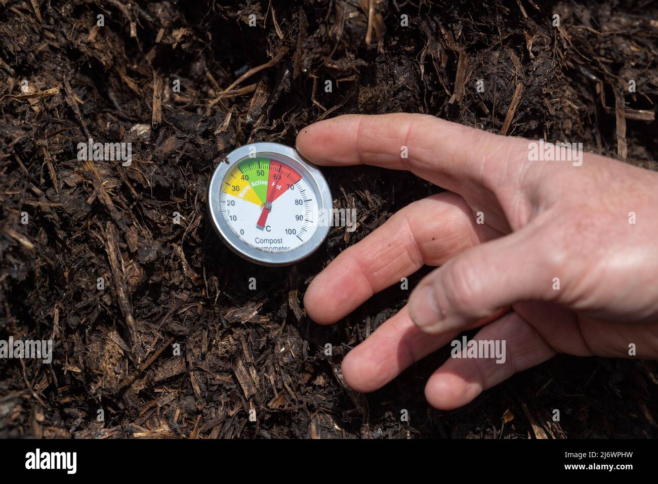 Homme inspectant la température d'un tas de compost fabriqué à partir de fumier de cour de ferme pour s'assurer qu'il se décompose correctement. North Yorkshire, Royaume-Uni. Banque D'Images