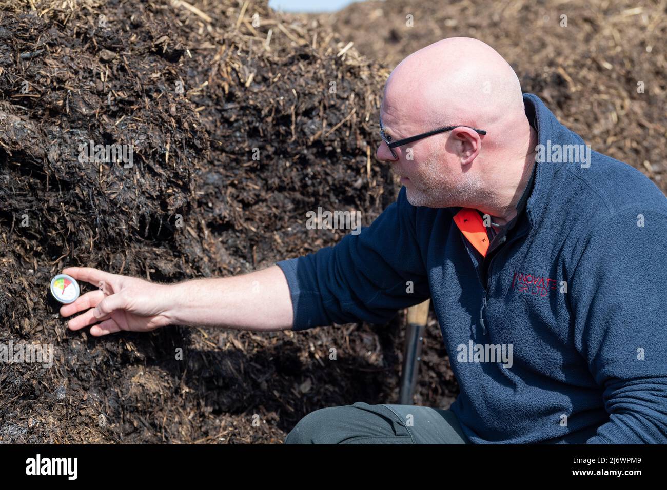 Homme inspectant la température d'un tas de compost fabriqué à partir de fumier de cour de ferme pour s'assurer qu'il se décompose correctement. North Yorkshire, Royaume-Uni. Banque D'Images