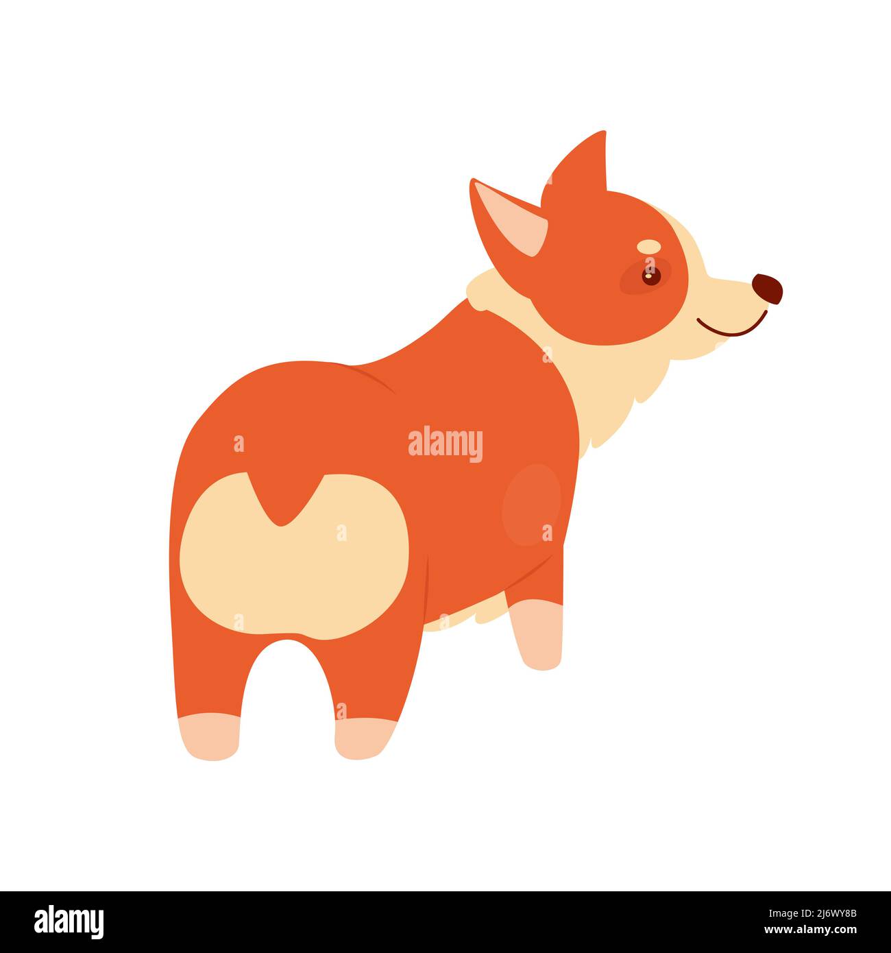 Vue arrière d'un joli corgi moelleux. Petit pedigree de chien gallois, drôle de famille animal de compagnie illustration de vecteur Illustration de Vecteur