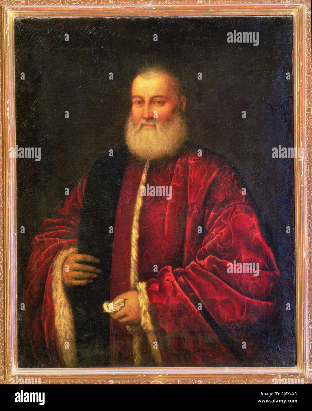 L'étude de Federigo da Montefeltro, duc d'Urbino, dans le sens des aiguilles d'une montre de TL: Cicero, orateur romain (106-43 av. J.-C.); Seneca, philosophe romain Stoic (c.4 av.-C.65.); Homer, poète épique grec (8th ans av. J.-C.); St. Thomas Aquin, philosophe italien et théologien (1225-74); Roi Salomon d'Israël (C.-B. Moïse, prophète de l'ancien Testament (panneau, photographies remplacent quelques originaux au Louvre) par Joos van Gent (Joos van Wassenhove) (fl.1460-75); Palazzo Ducale, Urbino, Italie; Flamand, non protégé par copyright. Banque D'Images