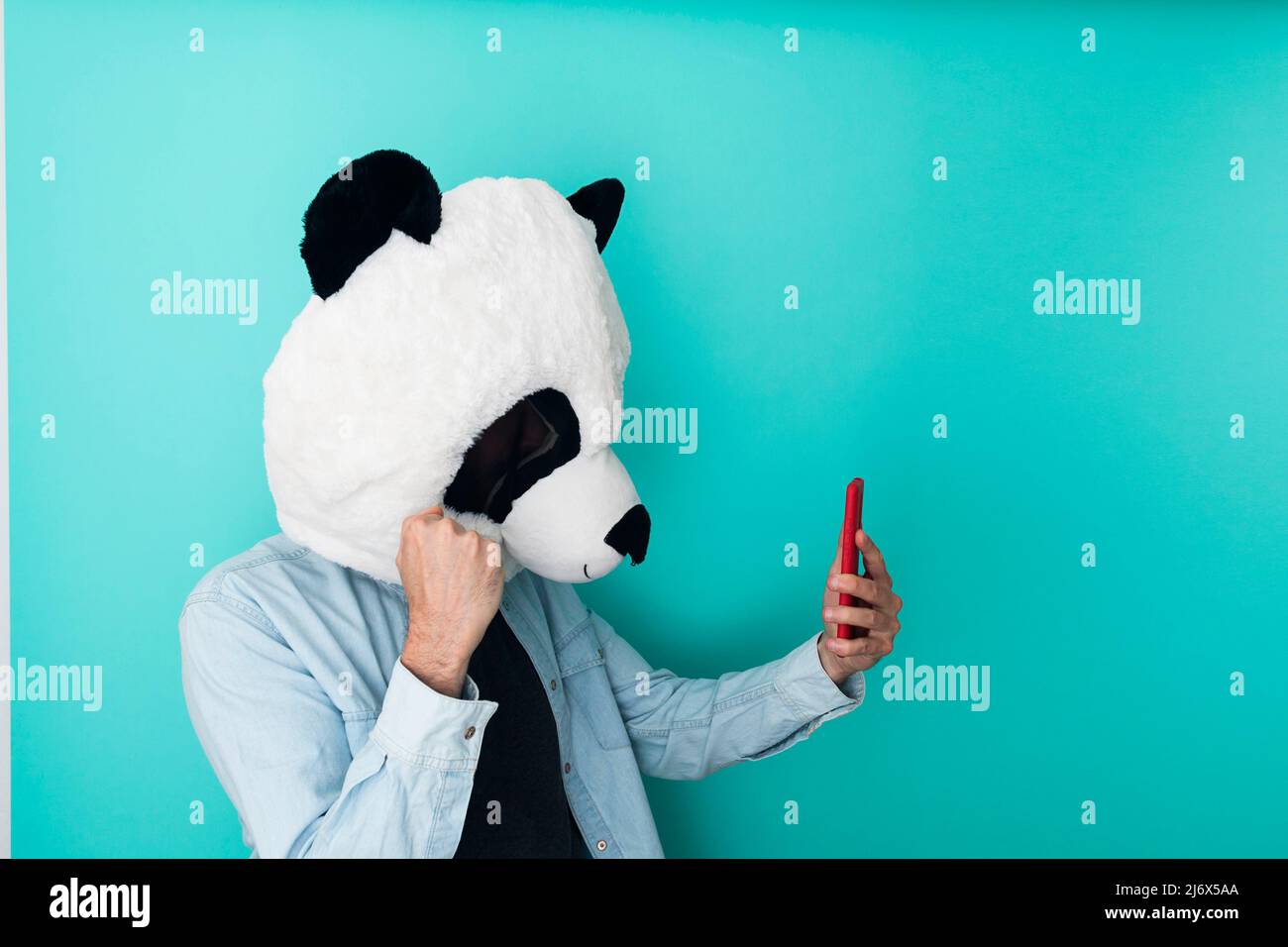 Homme heureux dans panda masque de lecture de bonnes nouvelles sur le téléphone mobile Banque D'Images