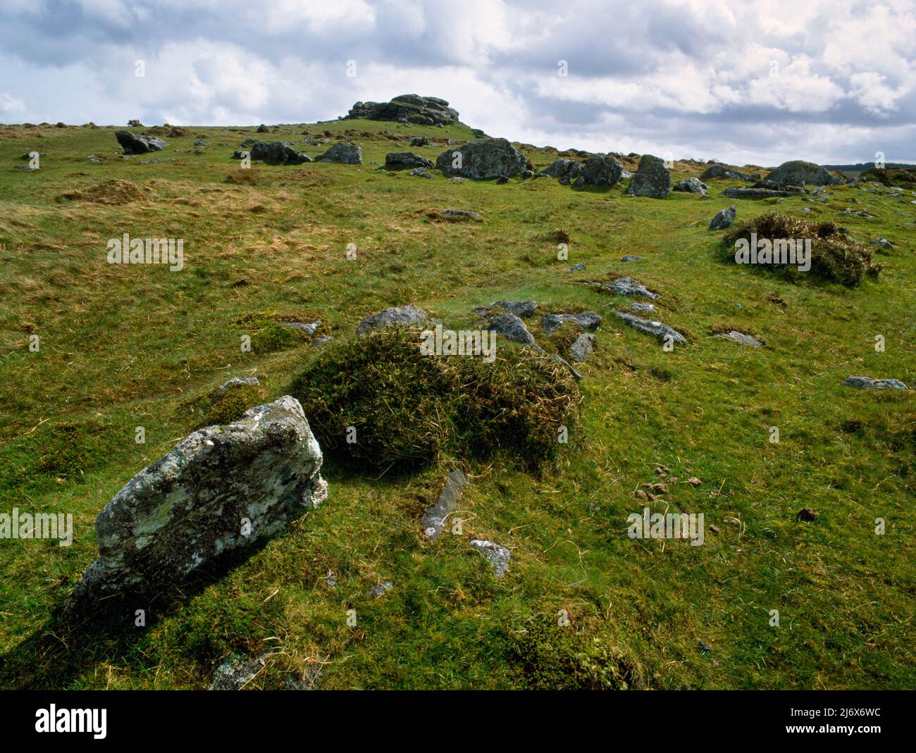 Vestiges d'anciens murs de champs qui se tournent vers Kestor Rock, Dartmoor, Devon, Angleterre, Royaume-Uni : partie d'un système de colonies et de réave de la division terrestre de l'âge de bronze Banque D'Images