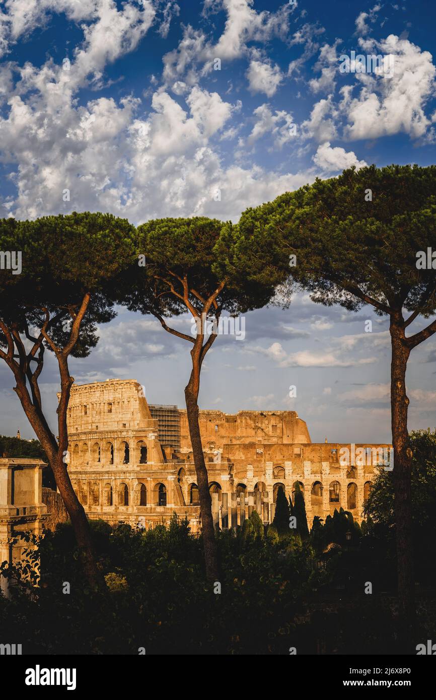 Le Colisée au coucher du soleil dans la ville de Rome en Italie. Ancien amphithéâtre Flavian derrière les arbres sur le Mont Palatin. Banque D'Images