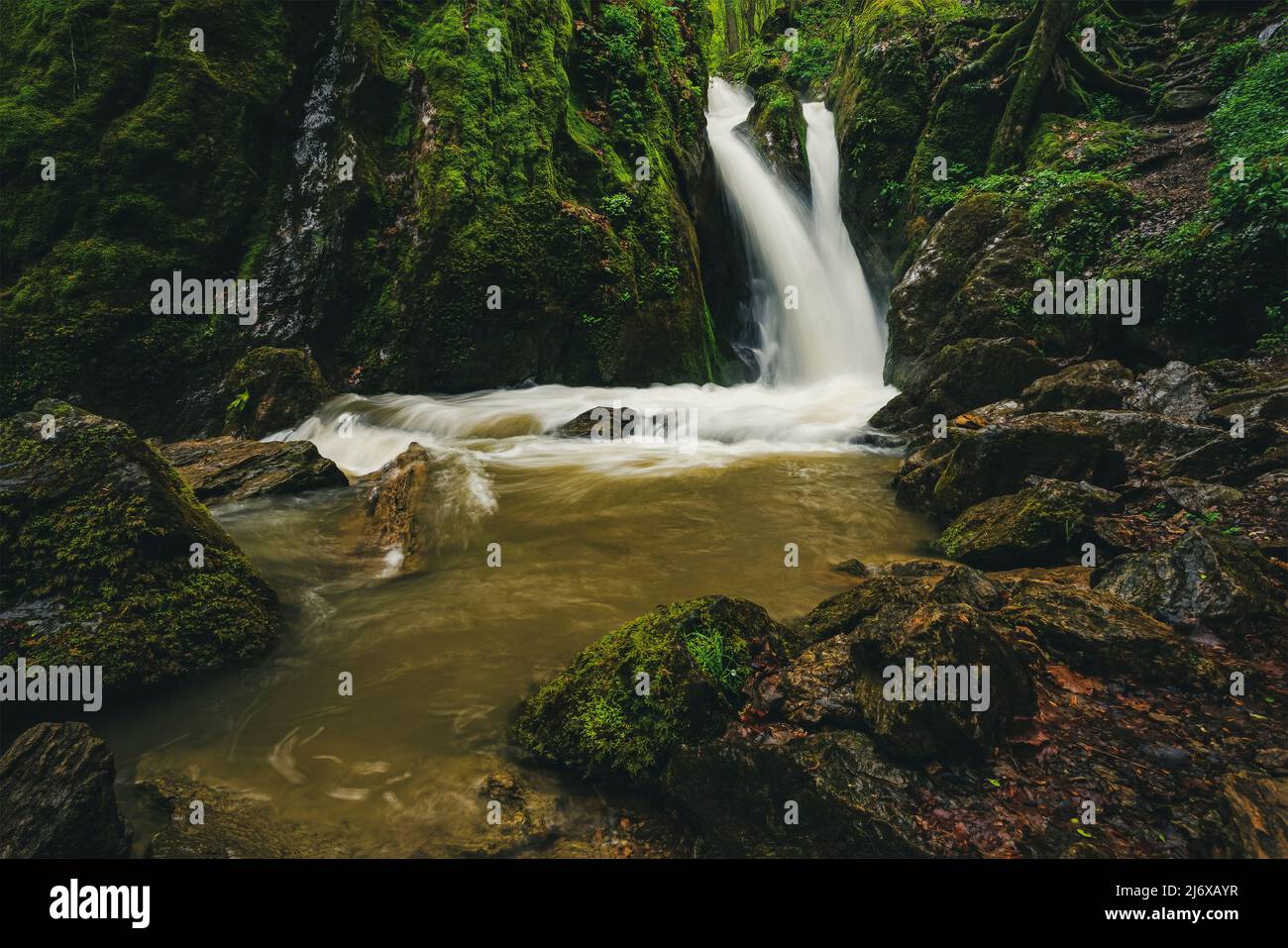 La chute d'eau de Sopot a rencontré lors d'une randonnée dans les montagnes Poiana Rusca. Photo prise le 30th avril 2022, près du village de Batrana, comté de Timis, B Banque D'Images