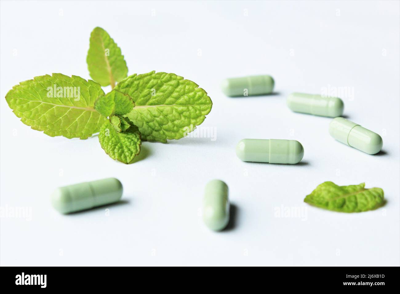 Capsule verte de médicaments à base de plantes, médicaments alternatifs photo Banque D'Images