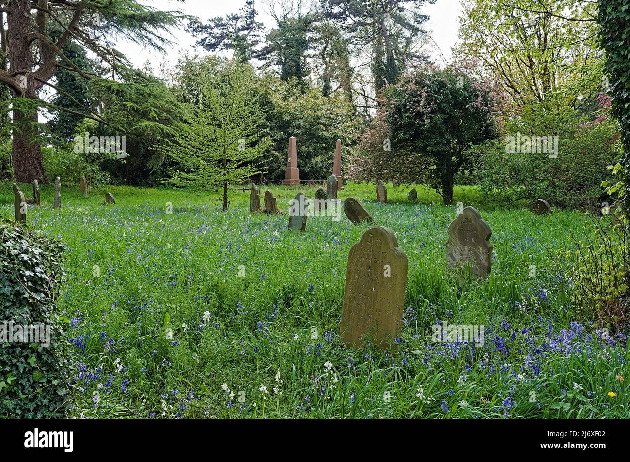 Vieilles pierres tombales dans l'ancien cimetière boisé au printemps Banque D'Images