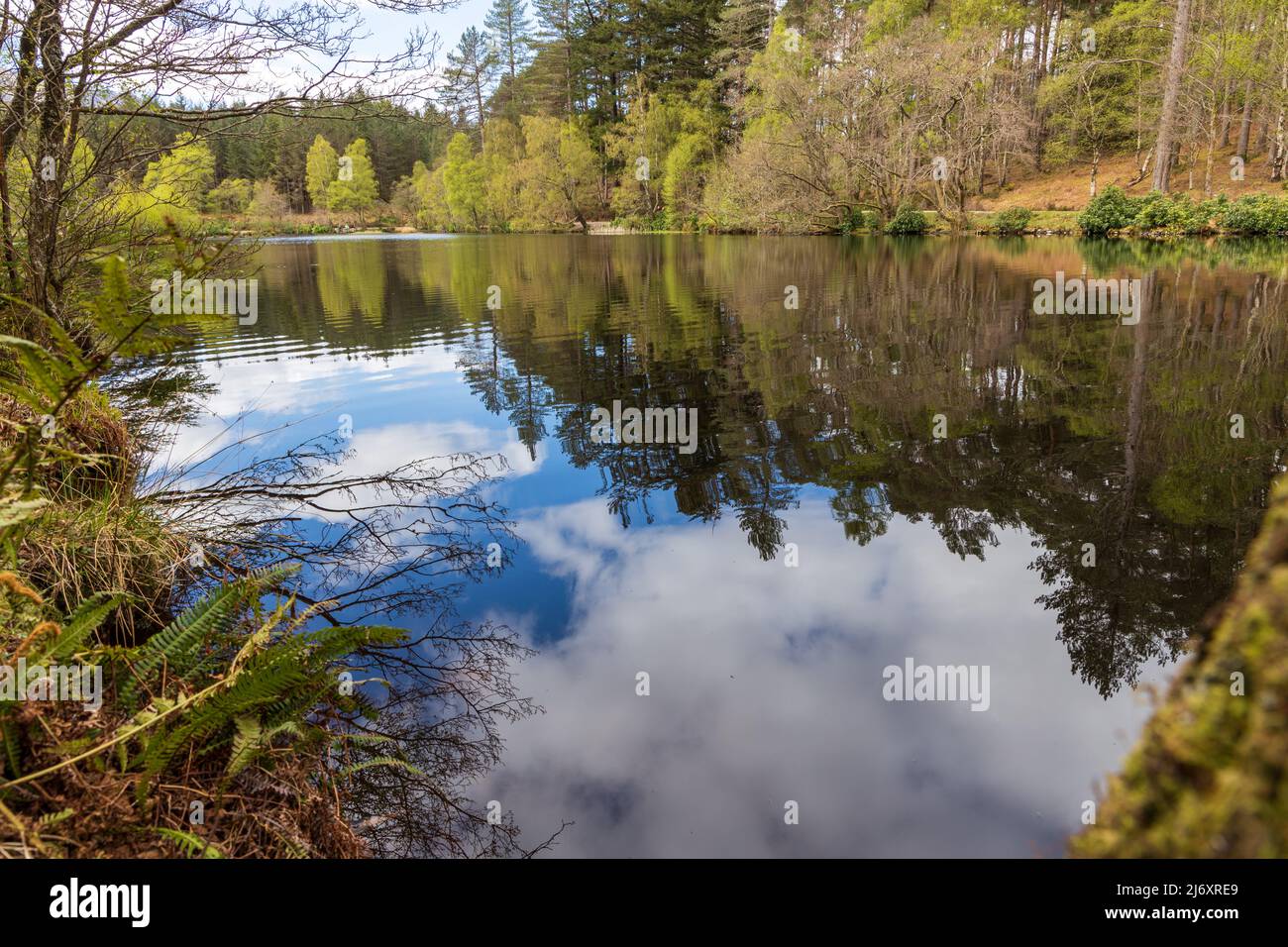 Glencoe Lochan, Highlands écossais, Écosse, côte ouest, Argyle, Royaume-Uni Banque D'Images