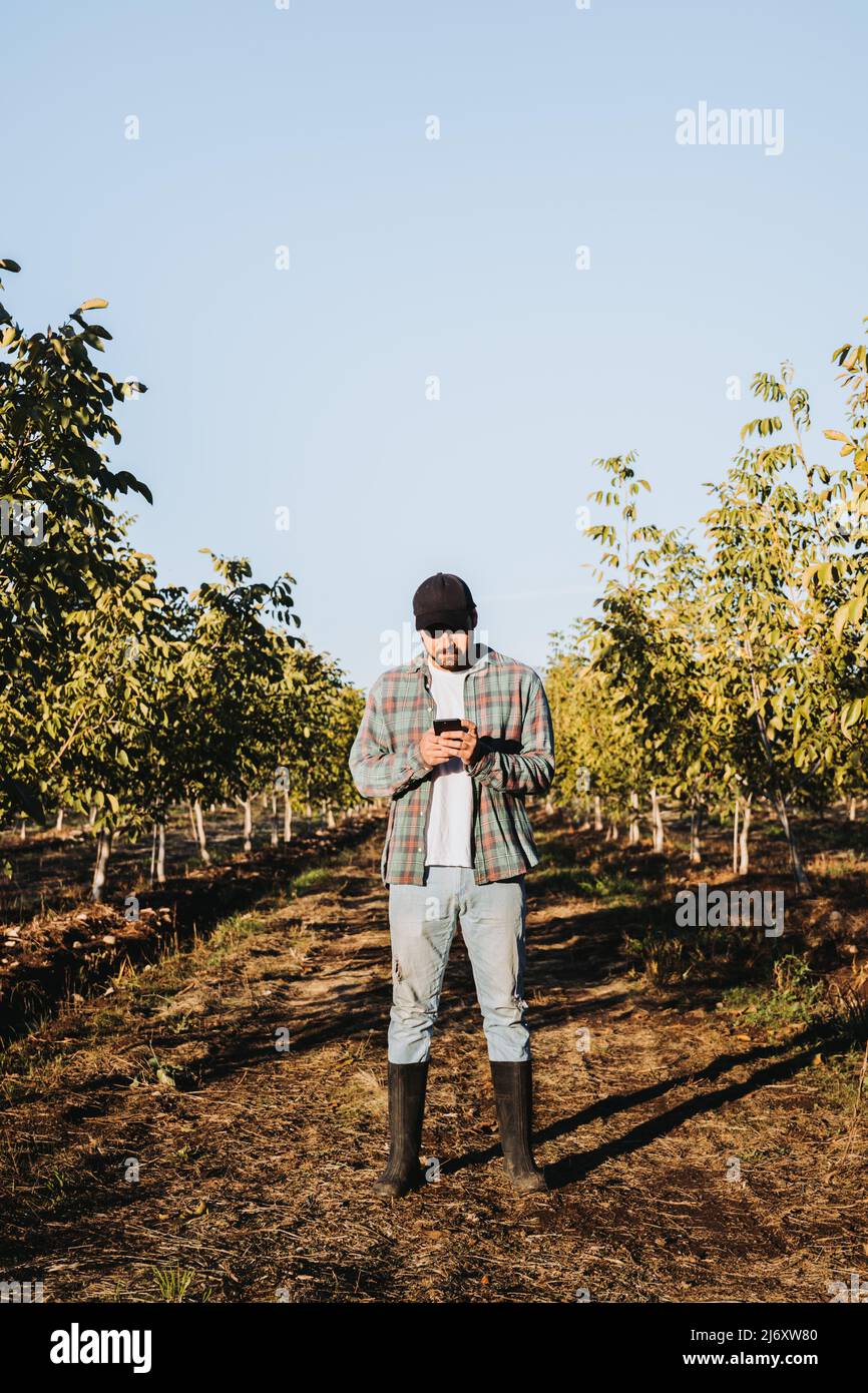 Gros plan d'un jeune agriculteur latin utilisant son téléphone à côté de la plantation de pommes. Concept agricole. Nomade numérique Banque D'Images