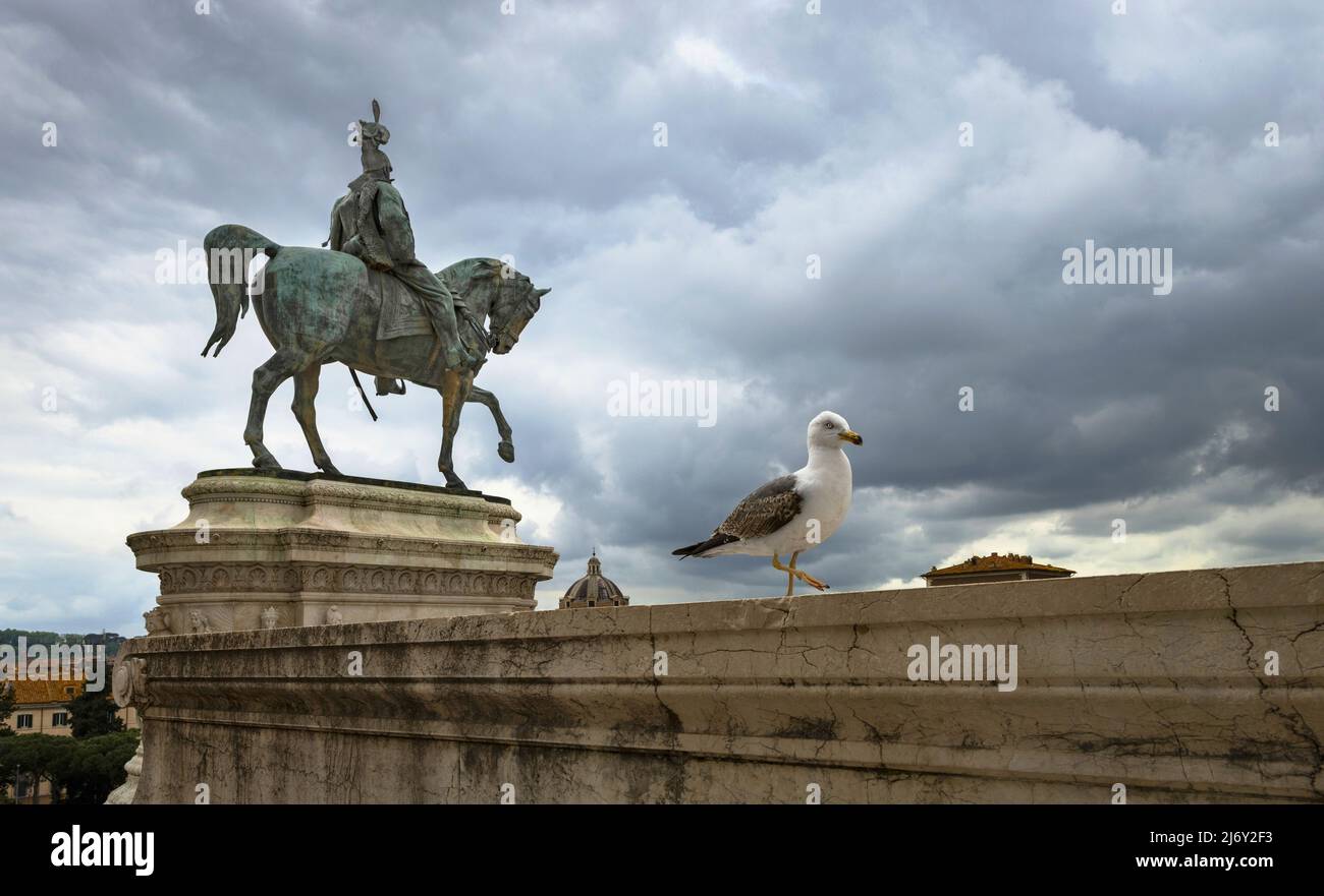 Un mouette sur le Monument du Roi Vittorio Emanuelle II à Rome Banque D'Images
