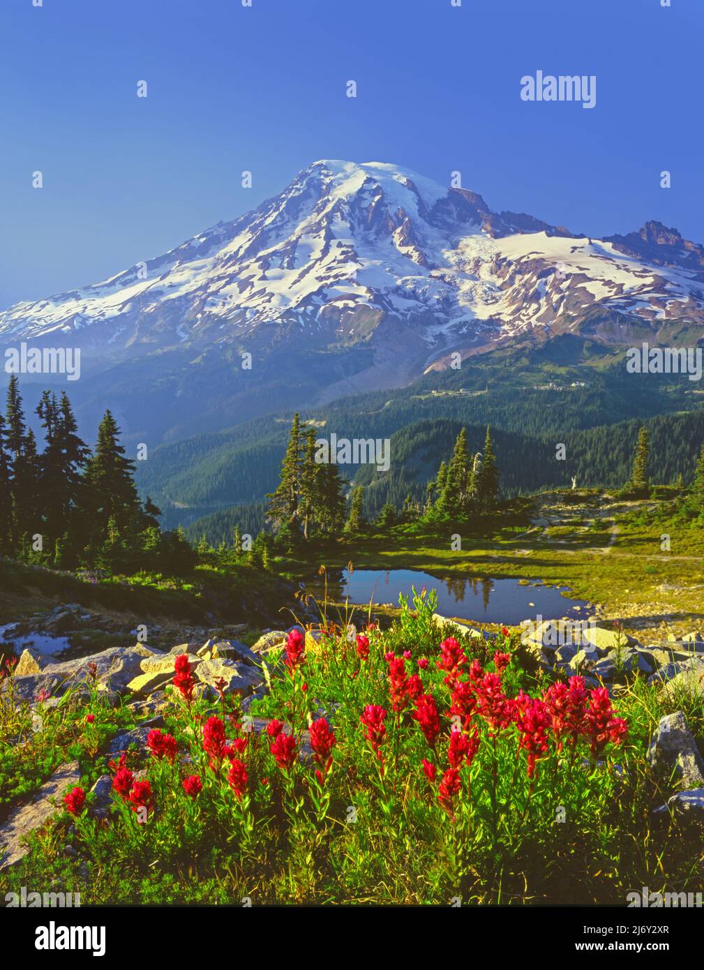 Mt Rainier de la chaîne de montagnes Tatoosh, parc national du Mont Rainier, Washington Banque D'Images