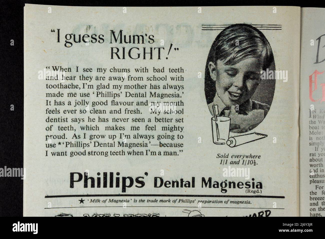 Publicité pour 'Phillips' Dental Magnésie' dans des souvenirs (réplique) relatifs aux enfants pendant la Seconde Guerre mondiale. Banque D'Images