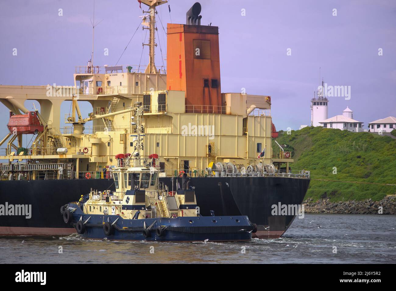 Un transporteur de vrac assisté par des remorqueurs quittant Newcastle Harbour, le phare de Nobby au loin. Newcastle, Nouvelle-Galles du Sud, Australie Banque D'Images