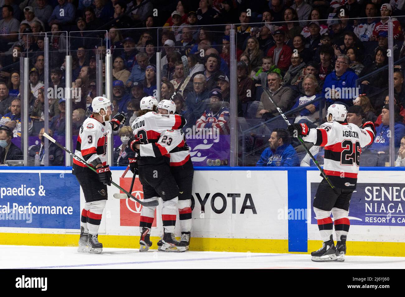 4 mai 2022: Les joueurs des sénateurs de Belleville célèbrent après avoir marquant un but dans la première période contre les Américains de Rochester. Les Rochester Americans ont accueilli les sénateurs Belleville dans un match de la coupe Calder de la Ligue américaine de hockey à la Blue Cross Arena de Rochester, New York. (Jonathan Tenca/CSM) Banque D'Images