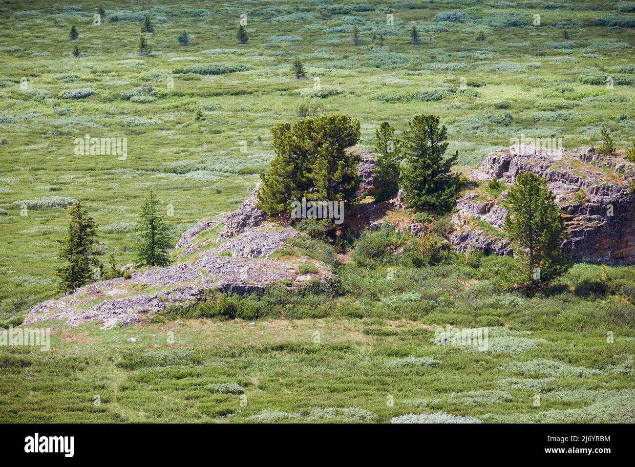 Falaises de pierre sur le flanc de la montagne. Chaîne de montagnes Seminsky en Altaï, Sibérie. Banque D'Images