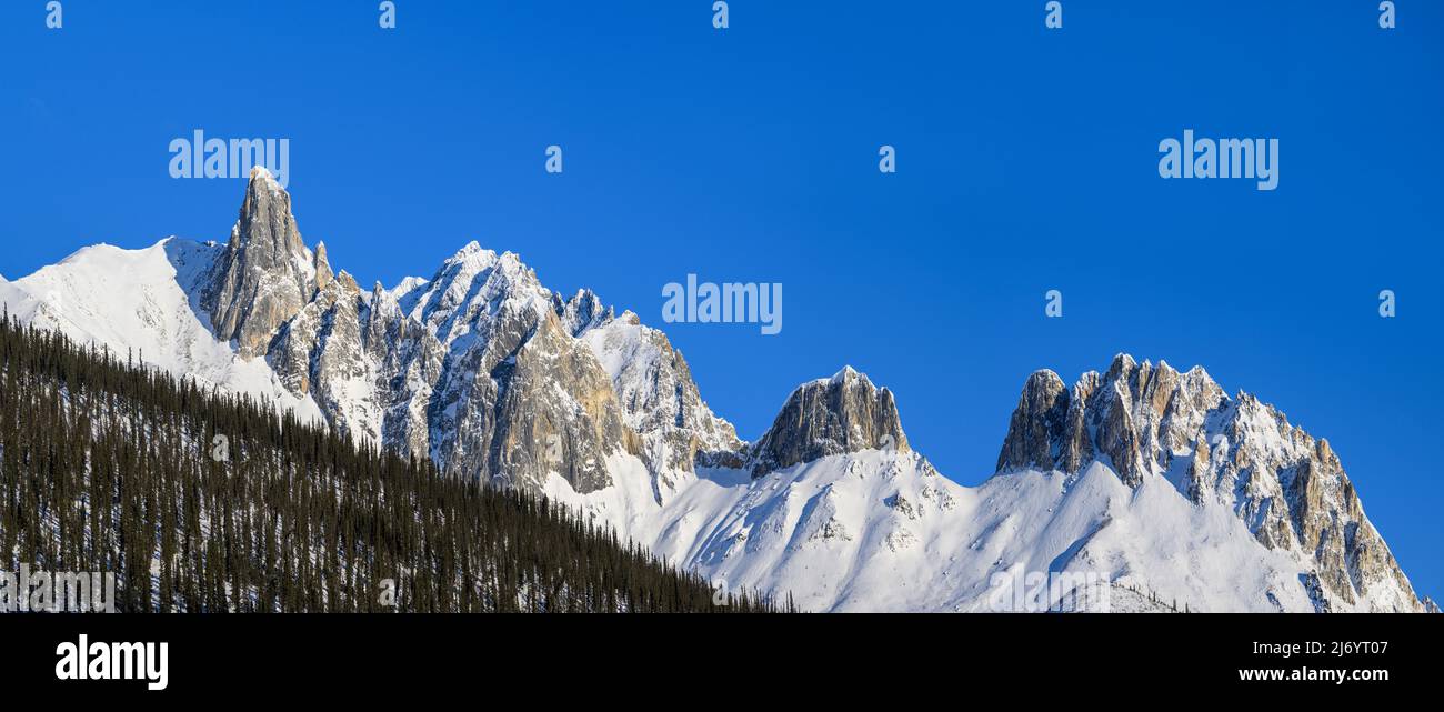 Pics de montagne dans la gamme Brooks, Alaska Banque D'Images