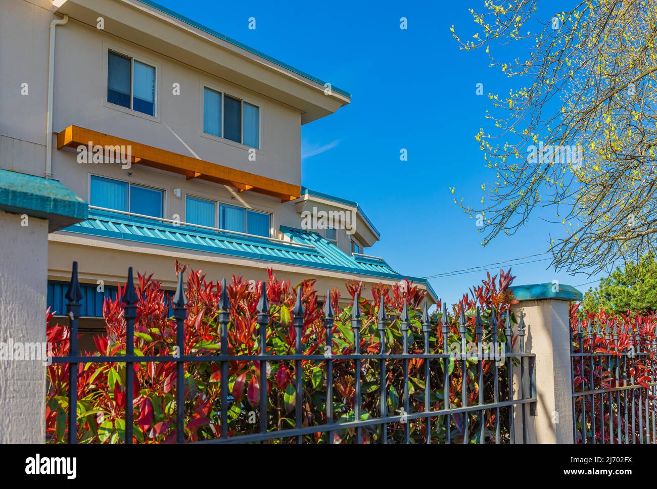 Détail de la clôture en fer avec des plantes du jardin. Clôture décorative en acier contre ciel bleu. Photo de rue, personne, mise au point sélective. Banque D'Images