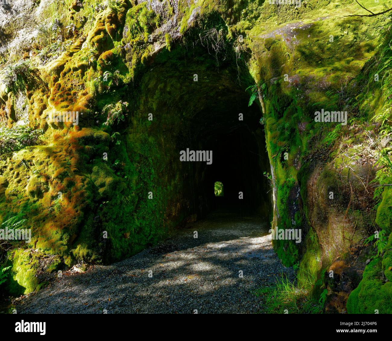 Chemin de chemin de fer de Chasm Creek, Seddonville//Nouvelle-Zélande - 1 avril 2022 : lumière au bout d'un tunnel ferroviaire depuis les jours de l'exploitation du charbon, côte ouest Banque D'Images