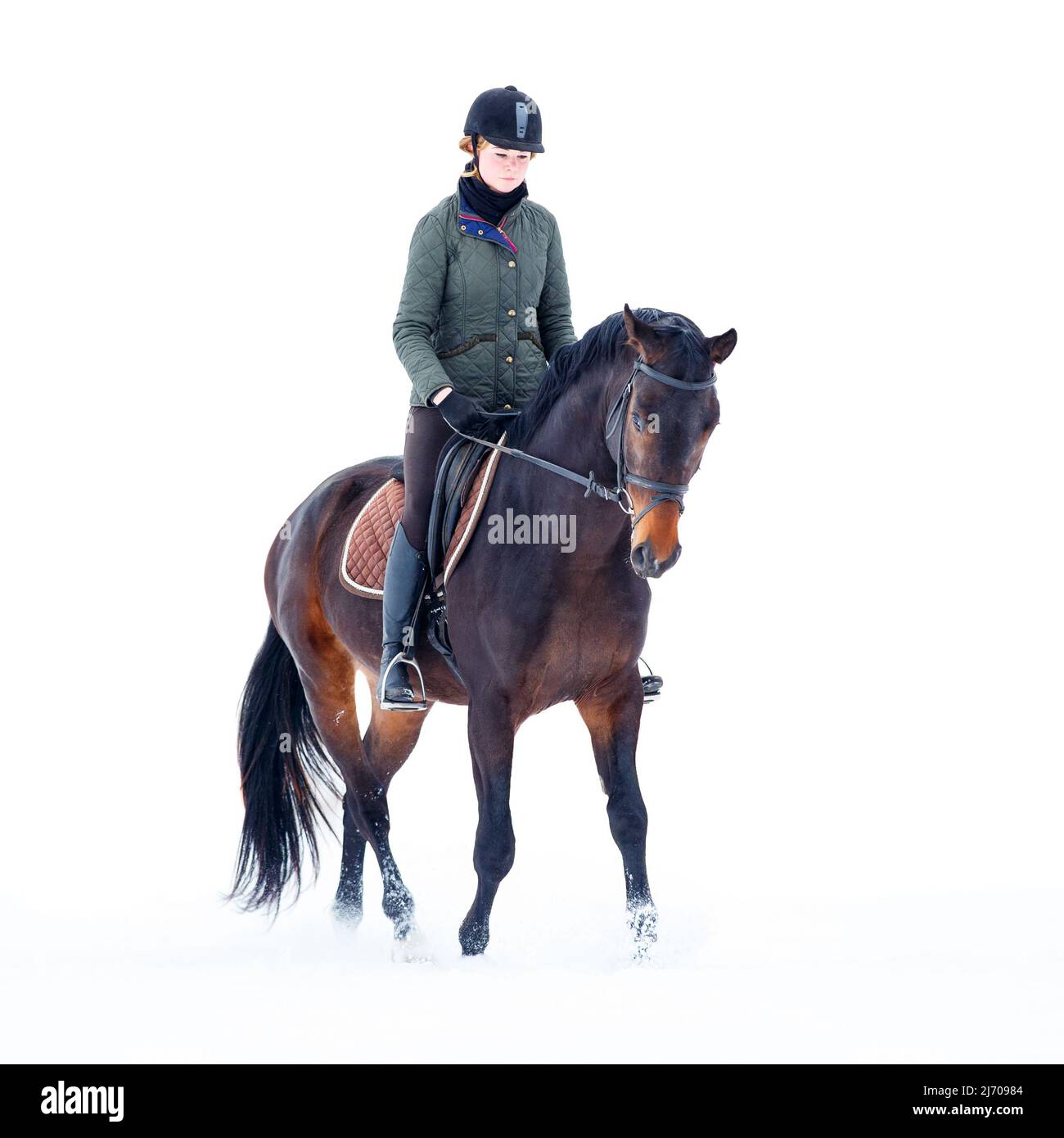 Jeune femme à cheval dans la neige isolée sur blanc Banque D'Images