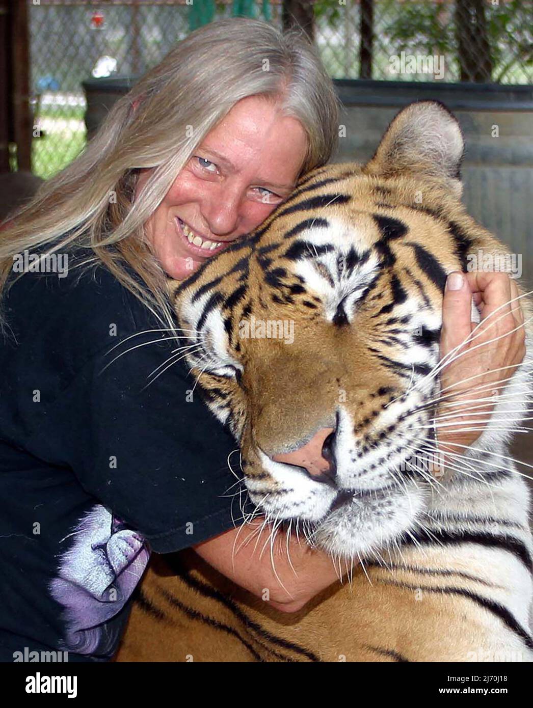 VICKY KEAHEY AVEC TACOMA SAUVÉ COMME CUB. VICKY AVEC DES BÉNÉVOLES A SAUVÉ DES DIZAINES DE GRANDS CHATS DE PROPRIÉTAIRES PRIVÉS DANS TOUT L'ÉTAT . ON ESTIME QU'IL Y A AU MOINS DEUX FOIS PLUS DE TIGRES CAPTIFS AUX ÉTATS-UNIS (LA MAJORITÉ DES PRISONNIERS ÉLEVÉS AUX ÉTATS-UNIS) QUE L'ENSEMBLE DE LA POPULATION SAUVAGE DANS LE MONDE. PHOTO : GARY ROBERTS Banque D'Images