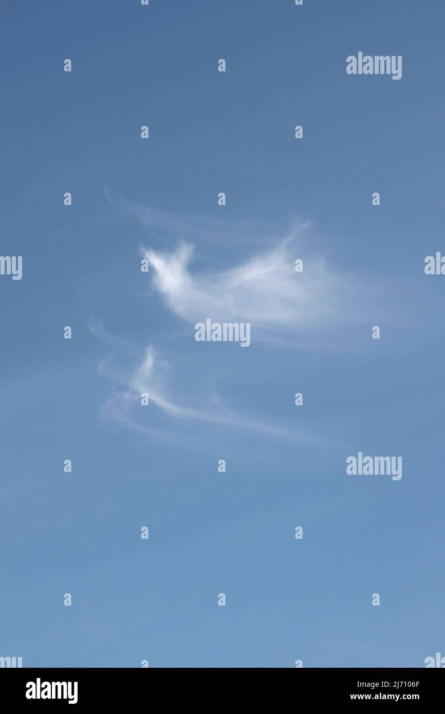 Paysage nuageux, nuages blancs uniques dans le ciel bleu Banque D'Images