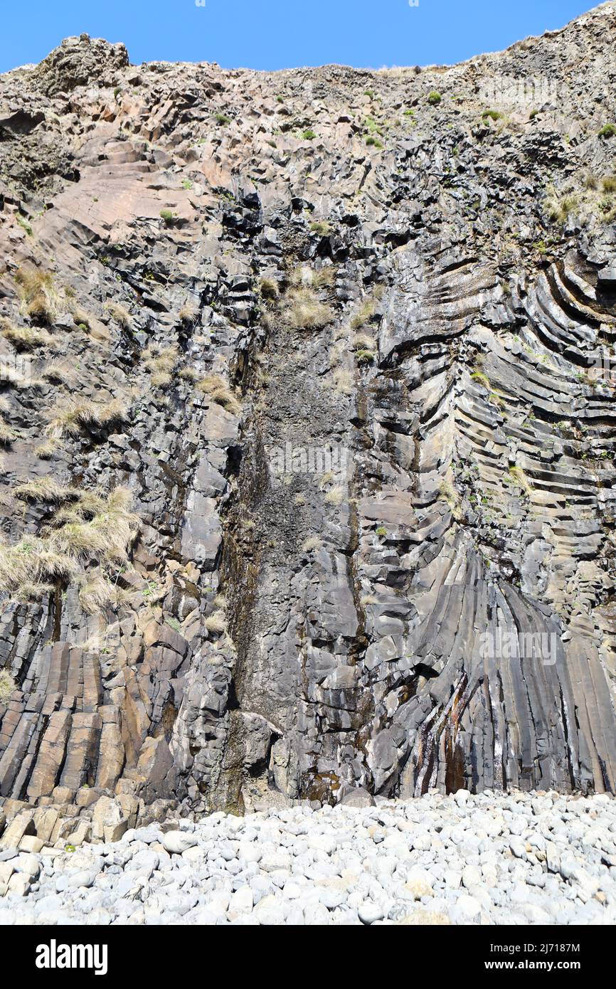 Arbre fossile de 55 millions d'années, découvert en 1811 par John MacCulloch sur l'île de Mull en Écosse Banque D'Images