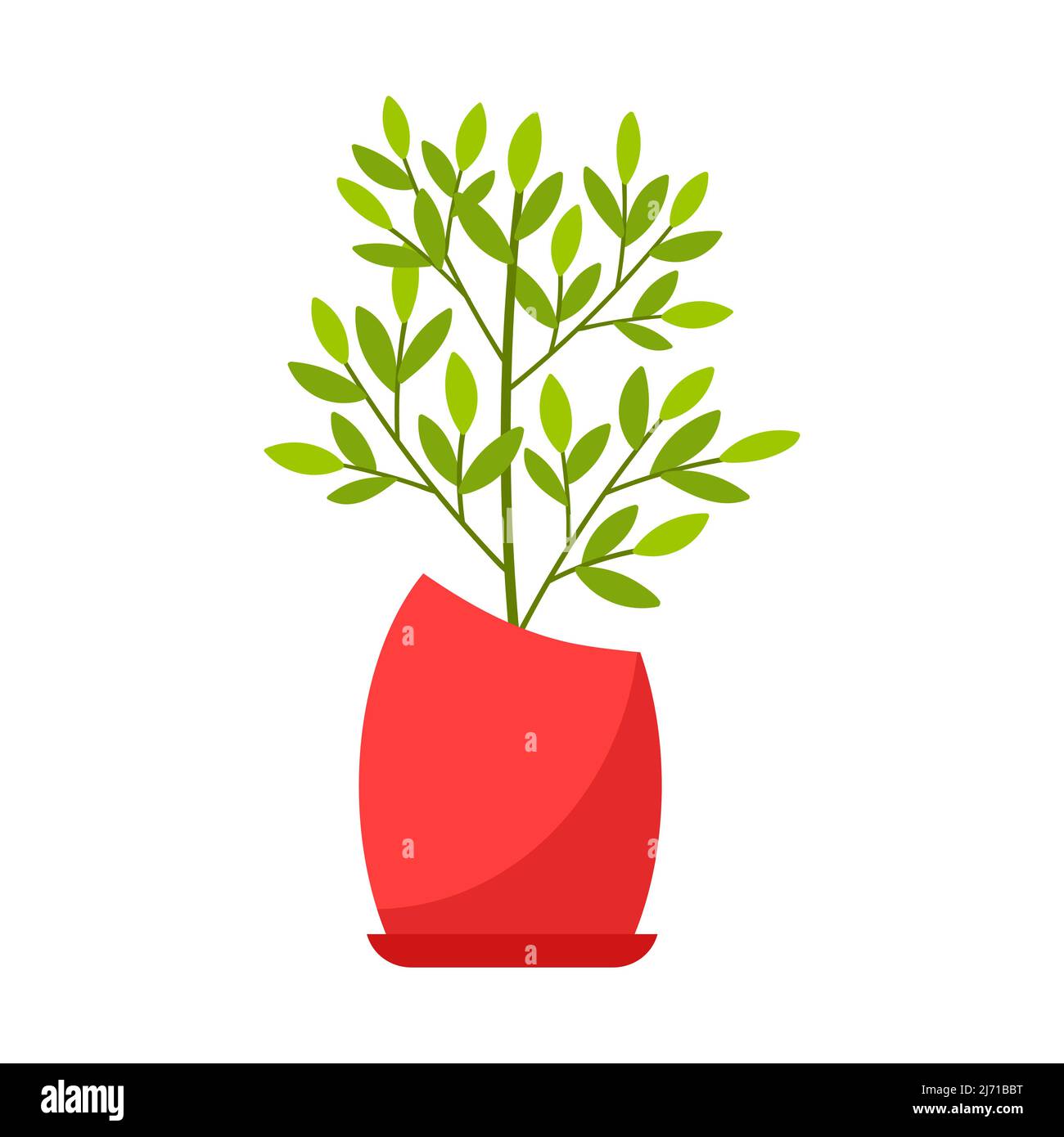 Plante intérieure, ficus dans un pot rouge. Usine à feuilles caduques. Illustration vectorielle de style dessin animé plat, isolée sur fond blanc Illustration de Vecteur