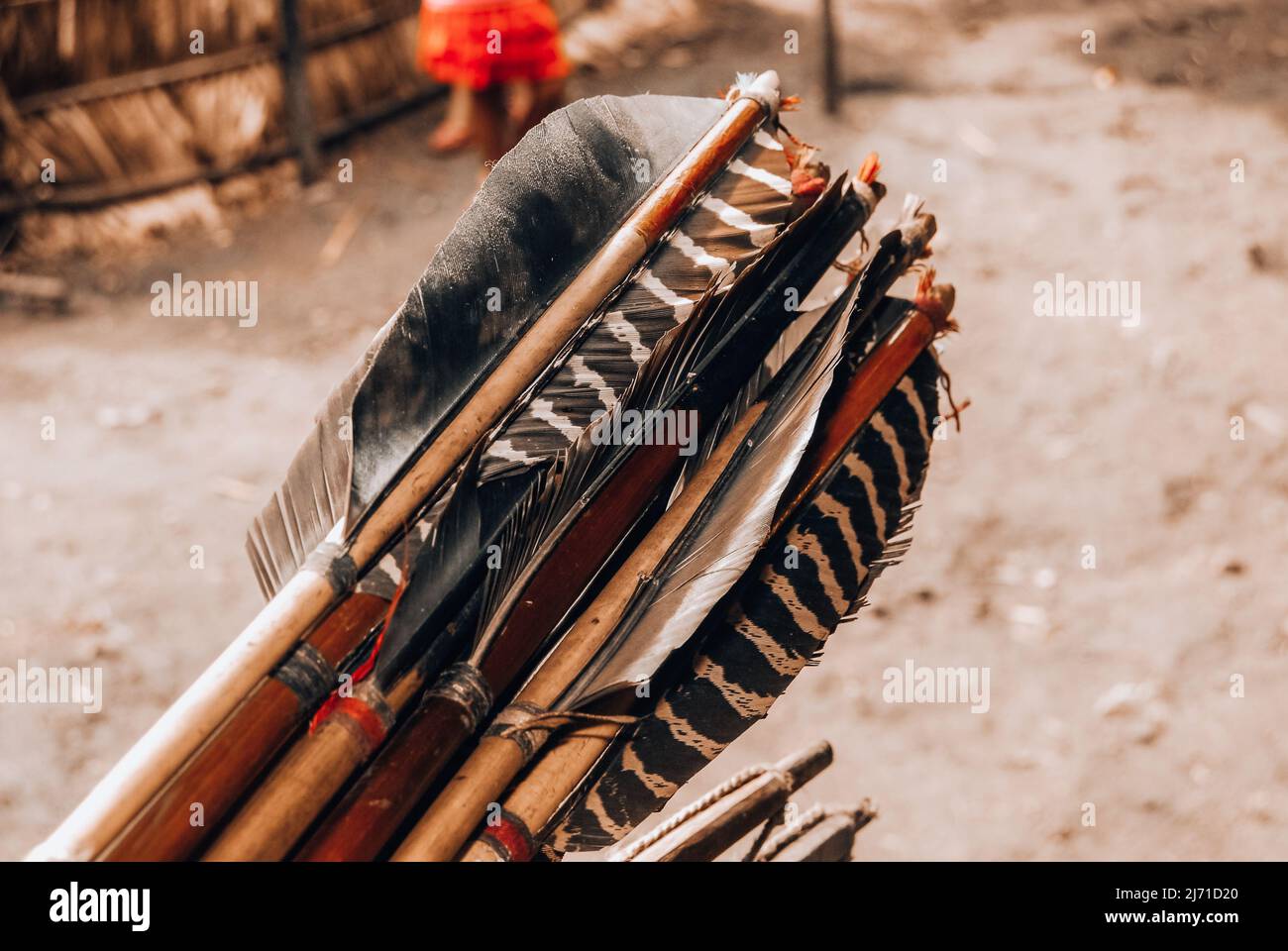 Des flèches indiennes à plumes faites à la main et fabriquées par des indiens de la tribu Arara, rivière Xingu, Amazone, Brésil. Banque D'Images