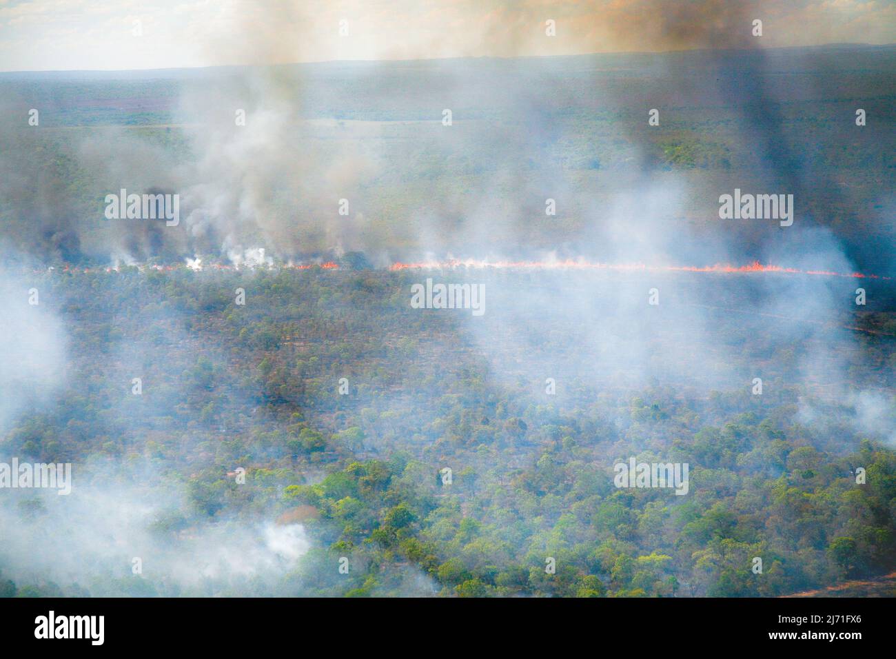 Flammes et rideau de fumée d'un feu de forêt dans l'Amazonie brésilienne. Banque D'Images