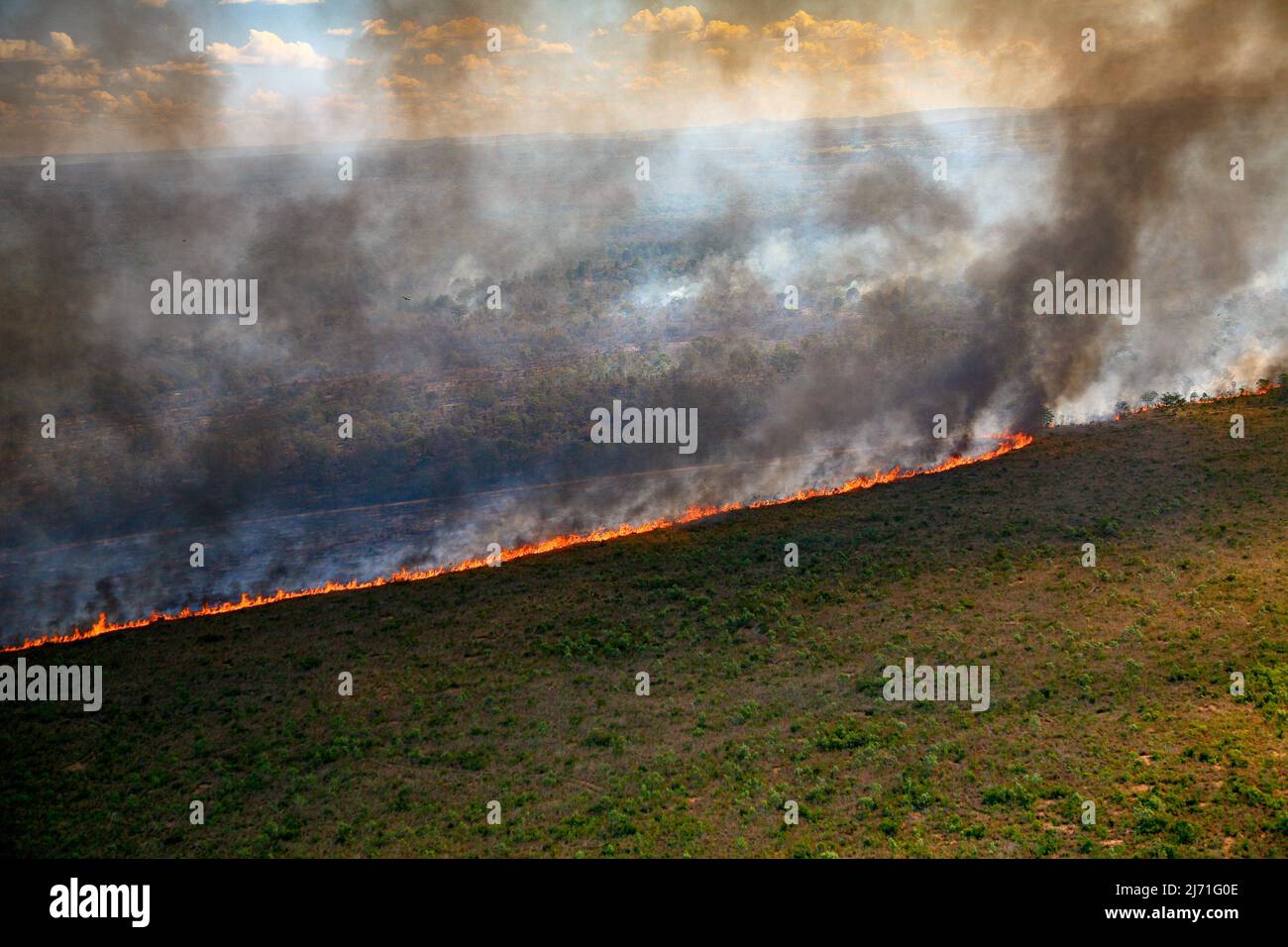 Flammes et rideau de fumée d'un feu de forêt dans l'Amazonie brésilienne. Banque D'Images