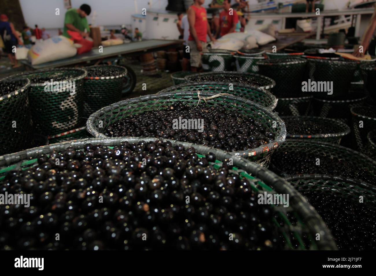 Paniers Acai exposés au marché Ver-o-Peso de Belém, Pará, Amazon, Brésil Banque D'Images