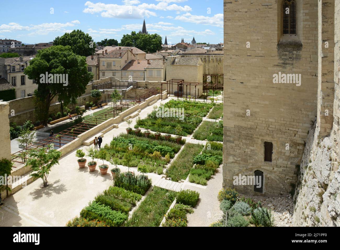 France. Vaucluse (84). Avignon. Palais des Papes. Les jardins suspendus, récemment rénovés, sont ouverts au public. Banque D'Images