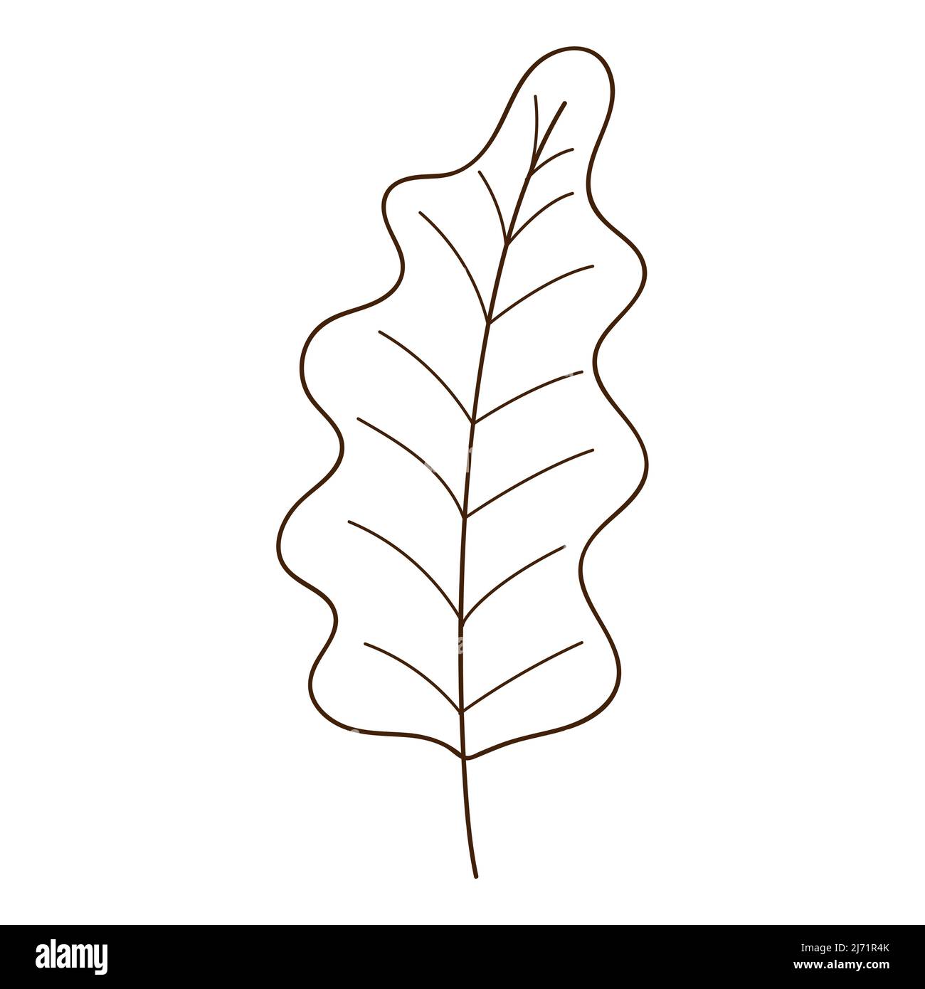 Feuille d'automne de chêne de Yellw. Botanique, élément de conception de plantes avec contour. Heure d'automne. Doodle, dessiné à la main. Conception plate. Illustration vectorielle noir et blanc. Est Illustration de Vecteur