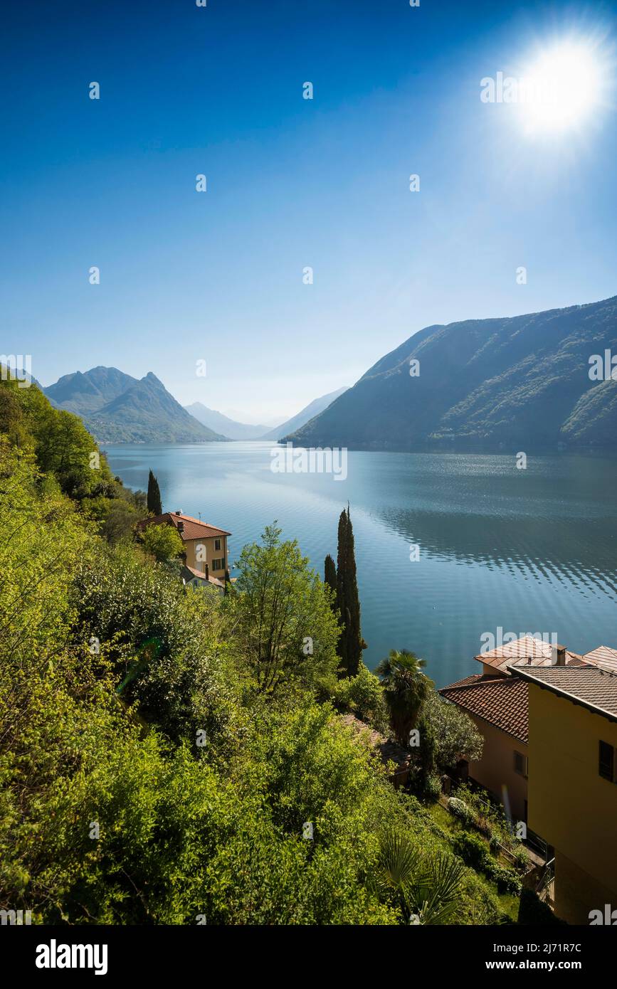 Maisons et cyprès sur le lac, Gandria, Lugano, lac Lugano, Lago di Lugano, Tessin, Suisse Banque D'Images